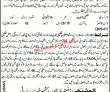 Ministry Of Kashmir Affairs & Gilgit Baltistan jobs 2023
