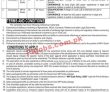 Ministry Of Law & Justice Announced Management Pk Jobs 2021
