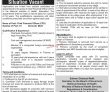 Ministry Of National Health Services Regulations & Coordination Pk Jobs