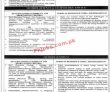 Ministry Of Planning Development & Special Initiatives Announced Latest Advertisement
