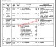 Ministry Of Planning Development And Special Initiative jobs 2023