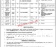 Ministry Of Planning Jobs 2022 | Ministry Of Planning Development