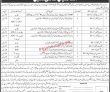 Ministry of Science & Technology Management PK Jobs 2021