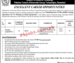 Ministry of Science & Technology PK Jobs 2021