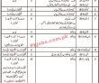 Minority Affairs Department PK Jobs 2021