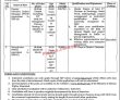 Mohr Jobs 2022 | Ministry Of Human Rights Headquarters Announced