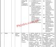 Moib Jobs 2022 | Ministry Of Information & Broadcasting Headquarters