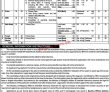 Mora Pk Jobs 2021 | Ministry Of Religious Affairs Announced