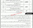 Motorway Police Signals Recording Department Announced Management Pk Jobs 2021