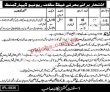 Multan Assistant Commissionerac Office New Government Today Jobs 2022 Advertisement