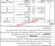 Municipal Committee Jobs 2023 | Municipal Committee Head Office Announced