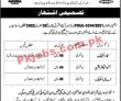 Nadra Jobs 2022 | National Database & Registration Authority Nadra