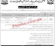 Nadra Pk Jobs 2021 | Jobs In Nadra | National