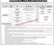 Nadra Pk Jobs 2021 | National Database & Registration Authority