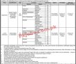 Nadra Pk Jobs 2021 | National Database & Registration Authority