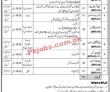 Nap Jobs 2023 | National Archives Of Pakistan Head Office