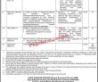 Naphda Jobs 2022 | Naya Pakistan Housing & Development Authority
