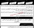 Navttc Jobs 2022 | Ministry Of Federal Education & Professional