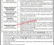 Ndu National Defence University Jobs 2023