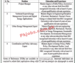 Neeca Pk Jobs 2021 | National Energy Conversation Fund Announced