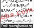 Ngo Jobs | Non Governmental Organization Announced Management Pk Jobs