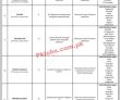 Ngo Latest  jobs 2023 | Non Governmental Organization Jobs 2023