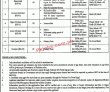 Nh & Cd Jobs 2022 | National Heritage & Culture