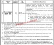 Nhsrc Jobs 2022 | Ministry Of National Health Services Regulations