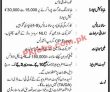 Nlc jobs 2023 | Latest National Logistics Cell Jobs 2023 |