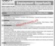 Nlc Pk Jobs 2021 | National Logistics Cell Headquarters Announced
