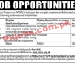 Nrsp Pk Jobs 2021 | National Rural Support Programme Announced