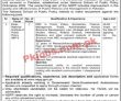 Nspp Jobs 2022 | National School Of Public Policy Nspp