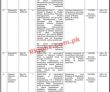 Nspp Jobs 2023 | National School Of Public Policy Headquarters