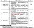 Ntdc Pk Jobs 2021 | National Transmission & Despatch Company