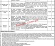 Nts Jobs 2022 | Primary & Secondary Healthcare Department Announced