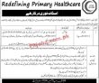 Numl university Latest Jobs 2023 | National University Of Modern Languages Numl jobs 2023