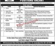 Nutech Pk Jobs 2021 | National University Of Technology Announced