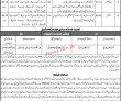 Narcotics Control Department Management PK Jobs 2021