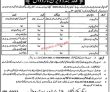 Narowal Field Division Pakistan New Jobs 2022 Advertisement Pk
