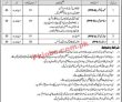 National Archives Of Pakistan Head Office Announced Latest Jobs 2023