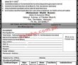National Archives of Pakistan Management PK Jobs 2021