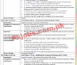 National Bank Of Pakistan Nbp jobs 2023