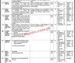 National Commission For Human Rights jobs 2023