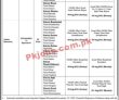 National Database & Registration Authority (nadra) Management Pk Jobs 2021