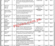 National Defence University (NDU) Management PK Jobs 2021