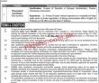 National Disaster Risk Management Fund Ndrmf latest Jobs 2023