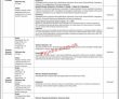 National Electric Power Regulatory Authority (nepra) Management Pk Jobs 2021