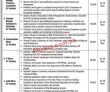 National Endowment Scholarship For Talent Nest Jobs 2023