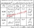 National Heritage Pk Jobs 2021 | National Heritage & Cultural