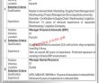 National Logistics Cell Jobs January 2022